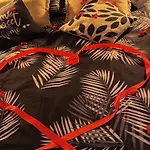 Au Fil De L'o 4*